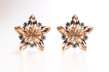 将图片加载到图库查看器，플로럴 심포니 이어링