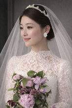 将图片加载到图库查看器，팰리스 가든 클러스터