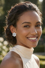 将图片加载到图库查看器，팰리스 가든 클러스터