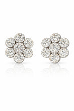 将图片加载到图库查看器，팰리스 가든 클러스터