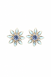The Bridesmaids Collection — Every Bloom, Every Bond