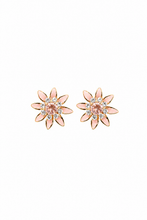 Cargar imagen en el visor de la galería, The Bridesmaids Collection — Every Bloom, Every Bond