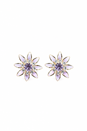 The Bridesmaids Collection — Every Bloom, Every Bond