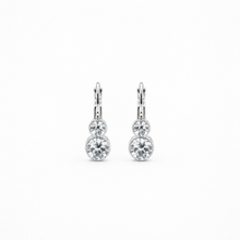 Muatkan imej ke dalam penonton Galeri, Petite Dual Crystal Drop Earring