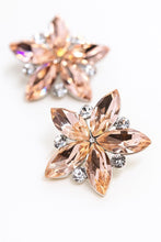 将图片加载到图库查看器，플로럴 심포니 이어링