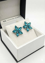 将图片加载到图库查看器，플로럴 심포니 이어링