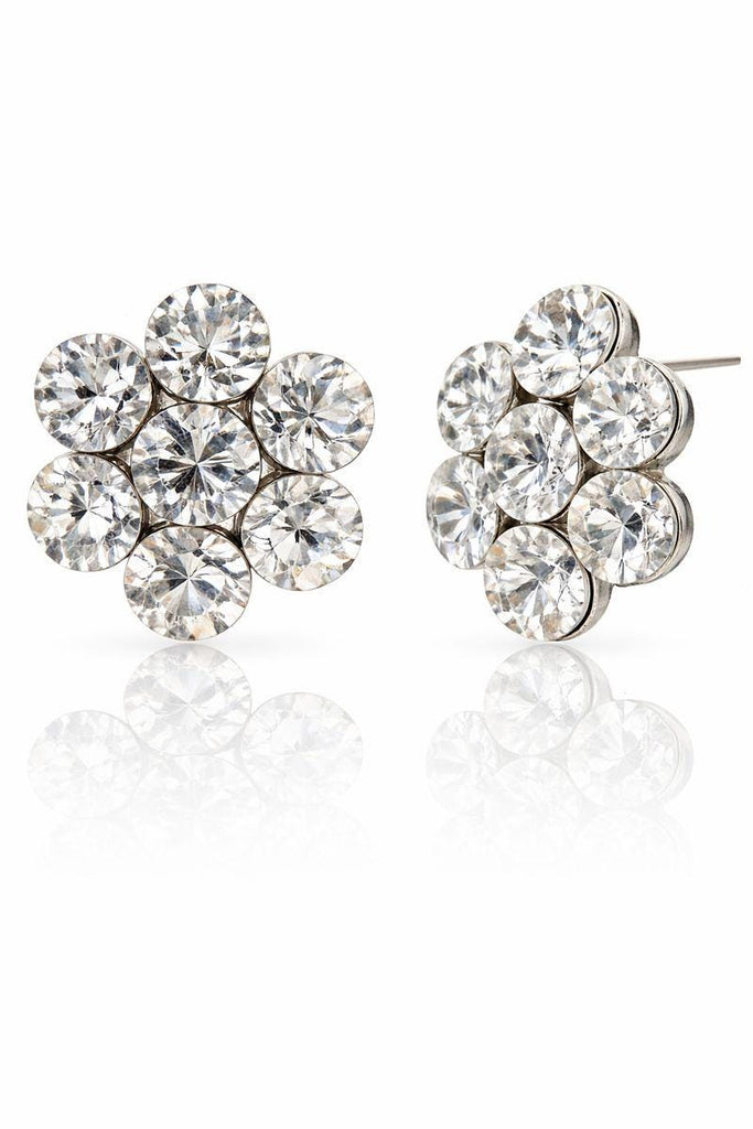 팰리스 가든 클러스터