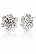 将图片加载到图库查看器，팰리스 가든 클러스터